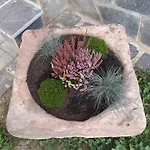 Opolka *